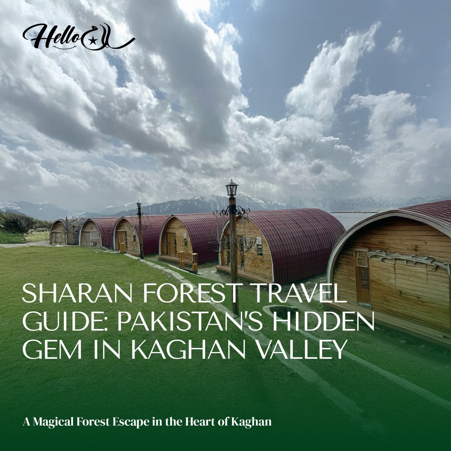 Mehran Forest Sharan Forest Travel Guide - Hello Salam Pakistan