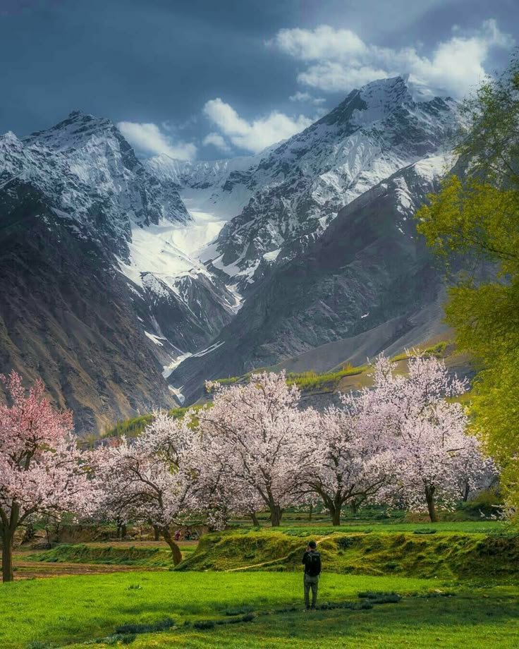 Northern Pakistan
